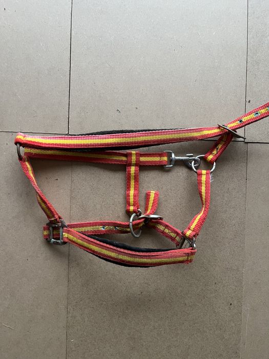 Cabeção usado em bom estado