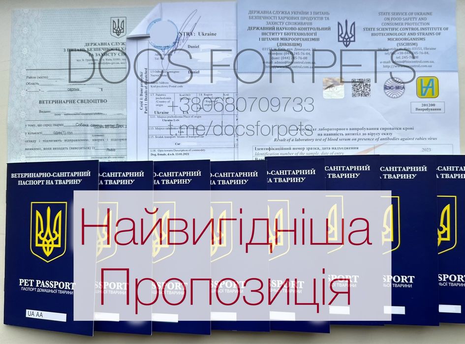 СРОЧНыЕ Ветеринарные документы на животных титры титр для собак котов