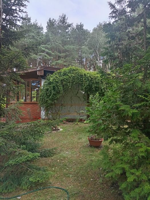 Sprzedam Działkę Rekreacyjna