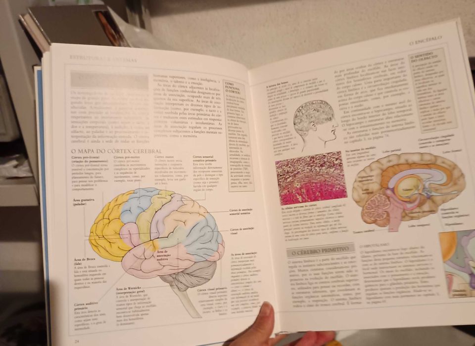 Coleções de livros sobre Saúde
