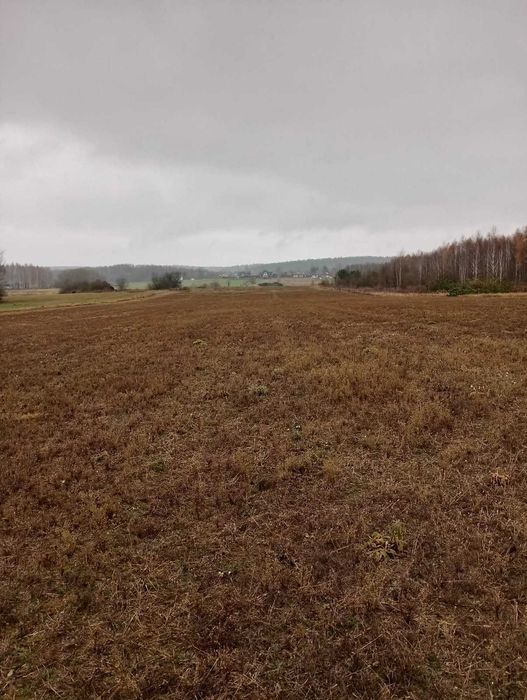 Sprzedam działki Wólka Ratowiecka - Widok 6