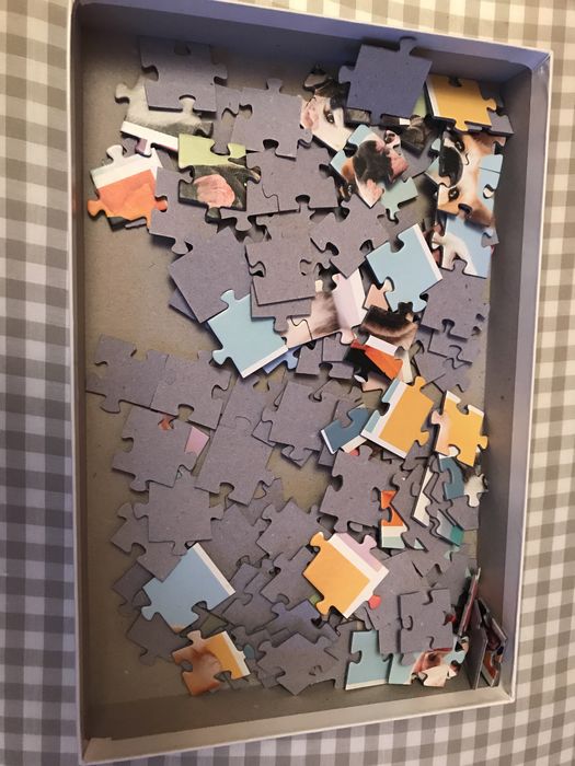 NOWE puzzle od Trefl