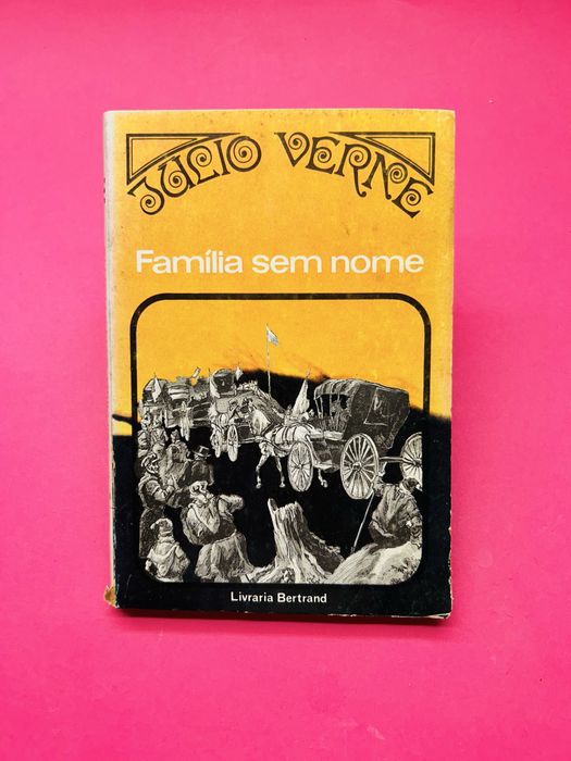 JULES VERNE  FAMILY WITHOUT A NAME