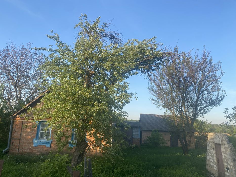 Продається участок.