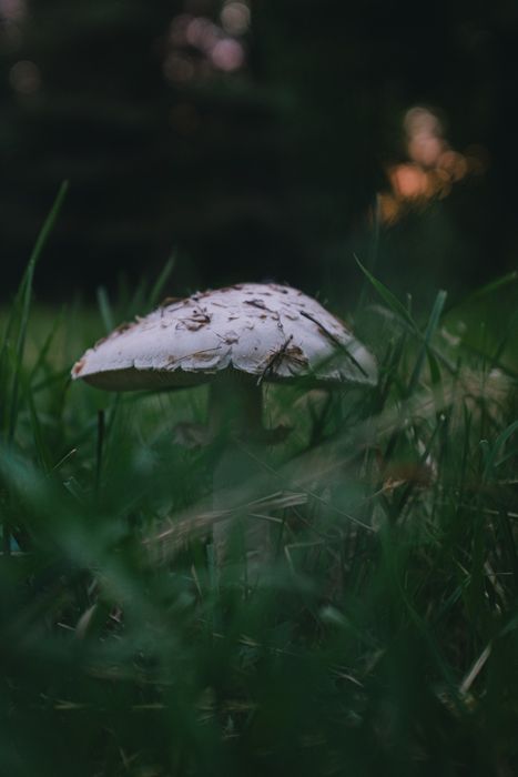 Фотоапарат Fujifilm X-H1