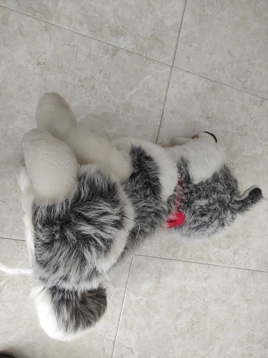 Cão de peluche da "Serra da Estrela"