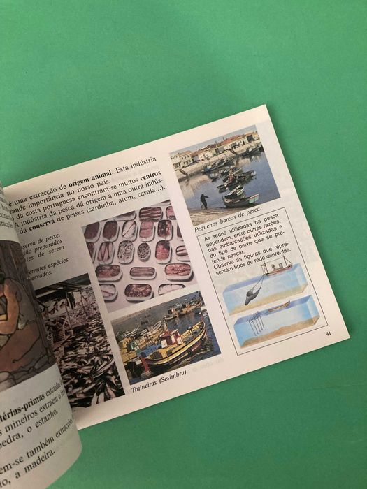 Livro Escola Primária Mundo e Vida 3ª Classe Meio Físico e Social Anos 80