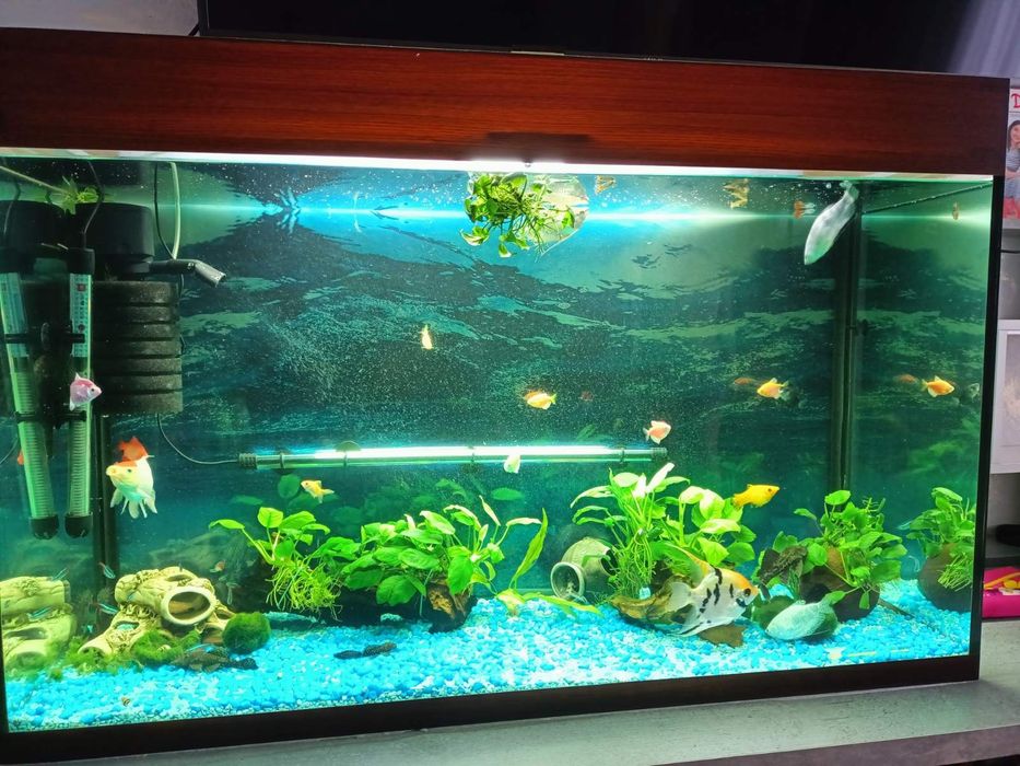 Продам акваріум на 240л.