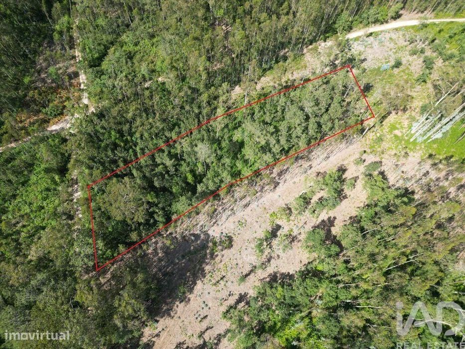 Plot of Land in Alqueidão da Serra