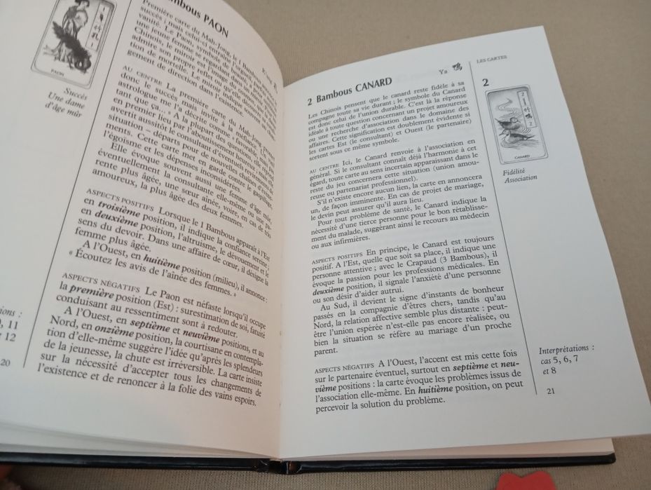 O Mah Jong divinatório (edição francesa)