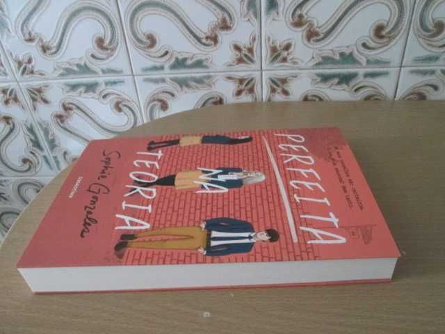 Perfeita na Teoria de Sophie Gonzales (Oferta de portes)