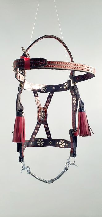 Наголовник на коня з китечками