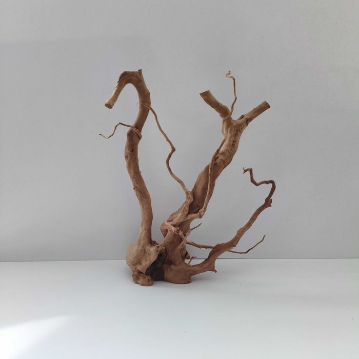 Piękny korzeń do akwarium lub terrarium naturalna dekoracja aquascaping