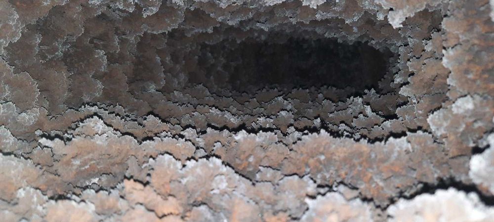 Сажотрус Трубочист