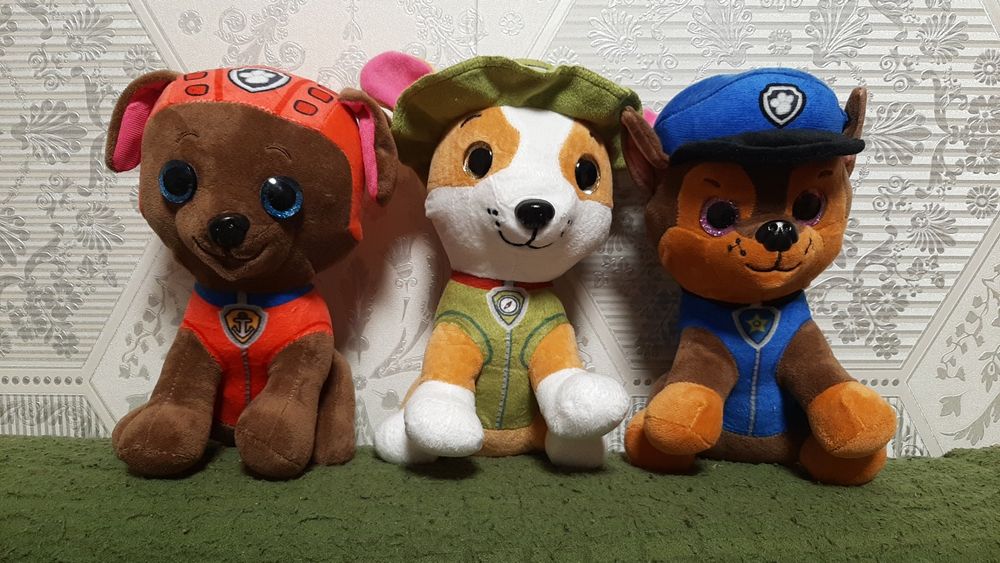 Щенячий патруль головні герої Скай, Еверест, Гонщик та їх друзі