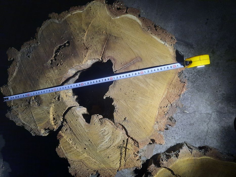 Plastry/ krążkiakacji