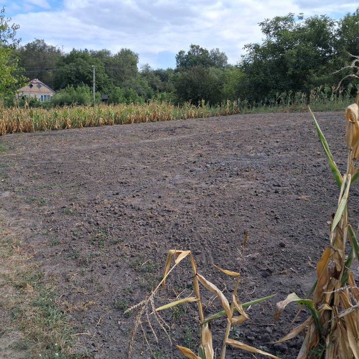 Розкіш Тиші: На Продаж Виставлено Заміський Будинок