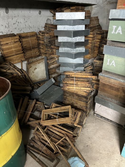 Colmeias favos , ninhos