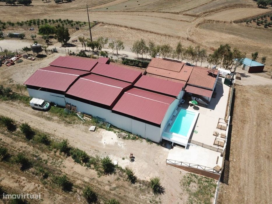 Quinta com 6,5 ha perto de Moura