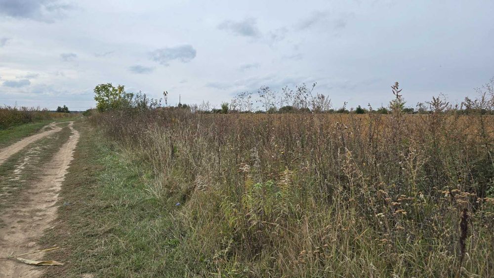 Продам ділянку в селі Рівець 9052