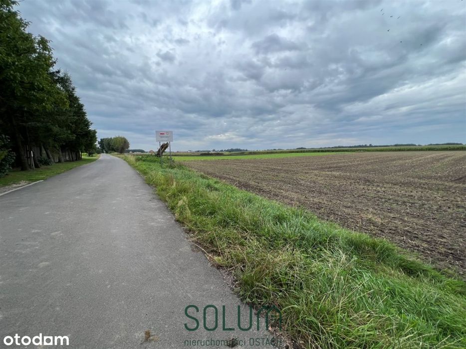Działka Rolna Gronówko K. Leszna!