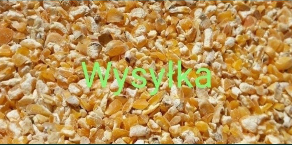 Kukurydza gnieciona walcowana 25kg dla kur niosek i innych zwierząt