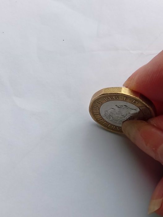 Brilhante e com defeito: moeda de Elisabeth II, one pound, 2017