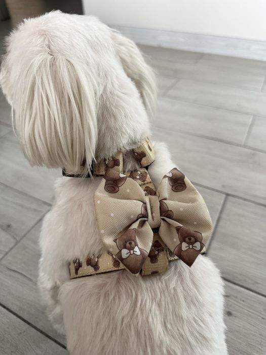 Szelki PUPPYMOUR dla psa rozmiar S, wzor TEDDY BEAR