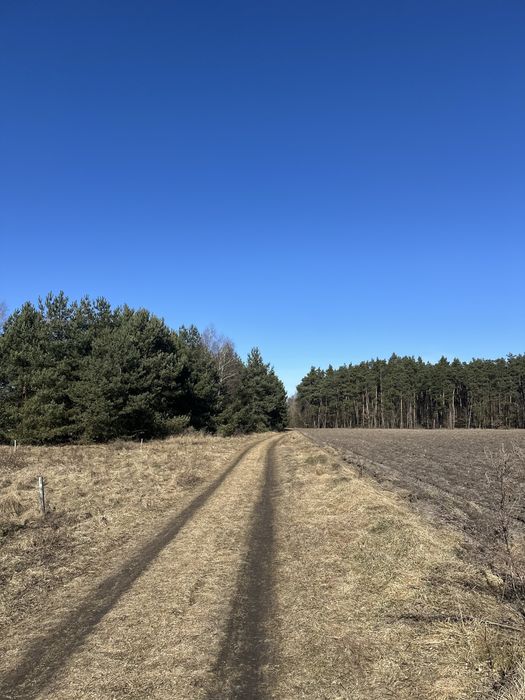 Dzialki  budowlane z  NOWYM PLANEM
