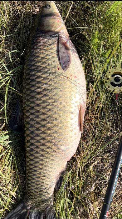 Летняя мормышка  Lumo Green  Світлонакопичувальні флюрисцентні