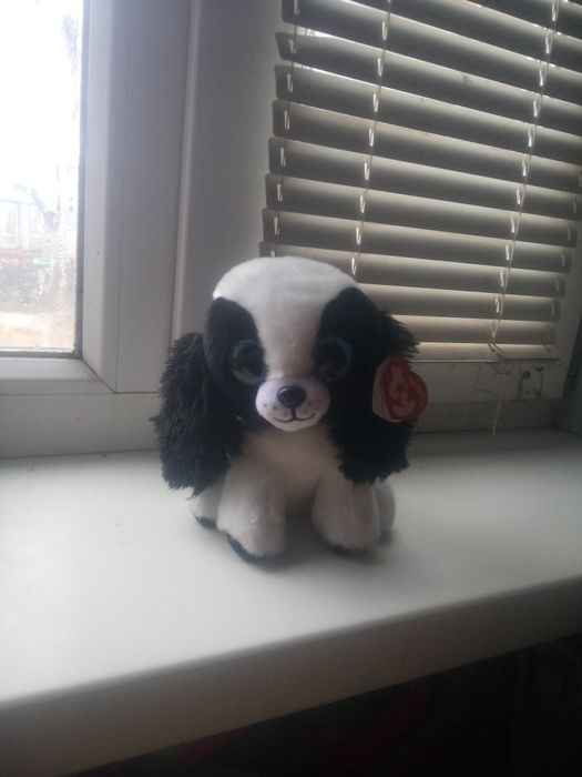 Мягкая игрушка собачка