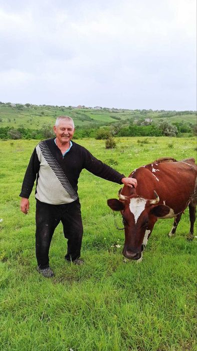 Продам дом 2 этажа 60 соток, гараж, баня,сад, виноградник с.Гребенники