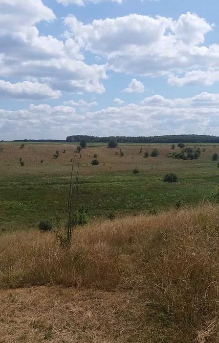 DWIE działki z warunkami zabudowy