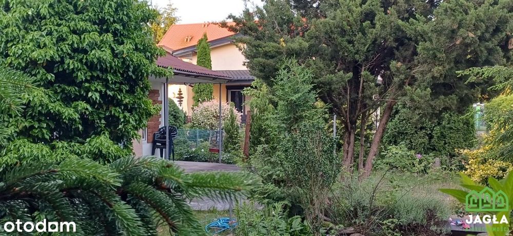 Białe Błota działka z możliwością zamieszkania!