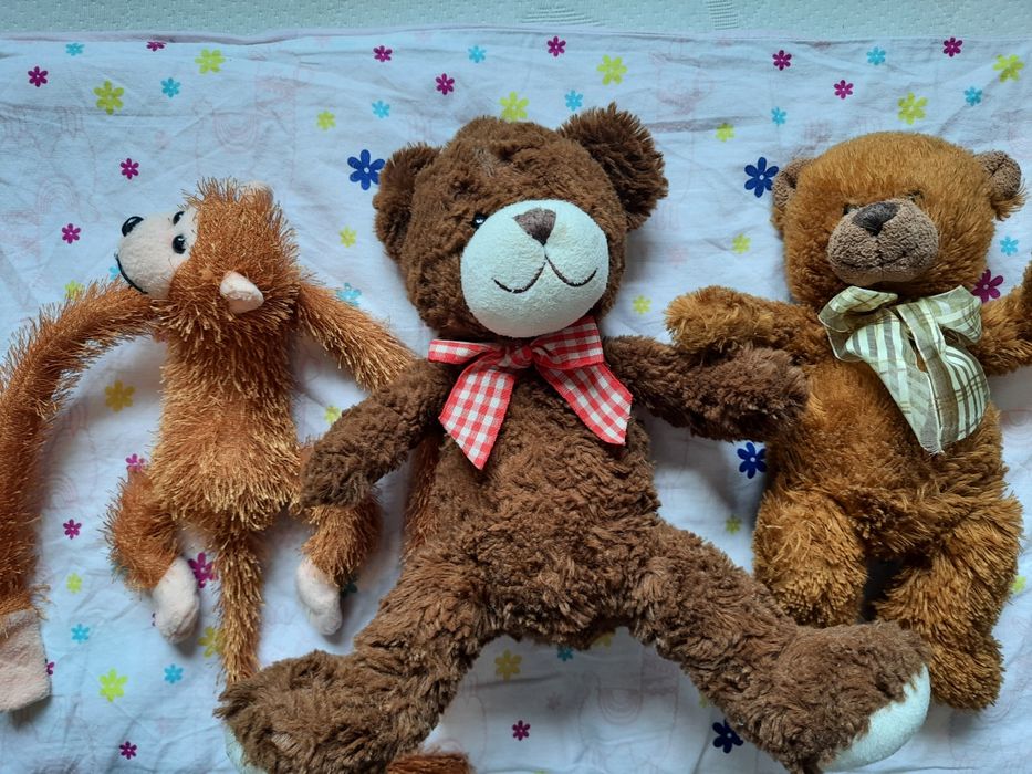 Gang biedronka plus maskotki