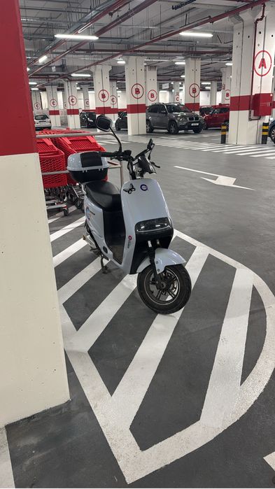 Mota elétrica goose city