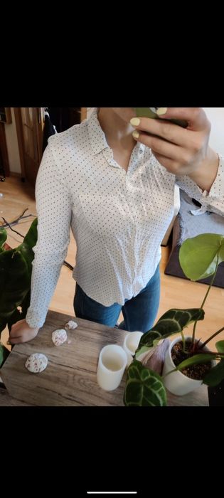 koszula w kropki grochy