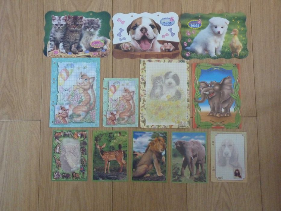 Zestaw karteczek do segregatora Baby cats Baby dogs zwierzątka 3D