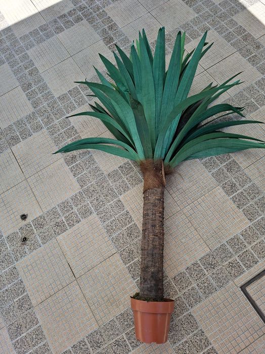 Planta Artificial – Como Nova
