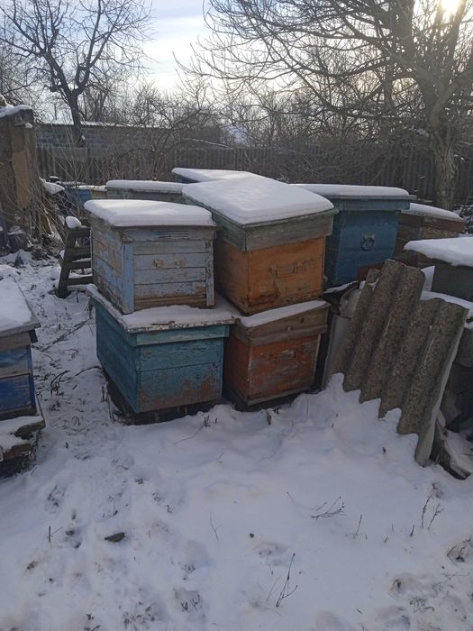Продам улья для пчел лежаки