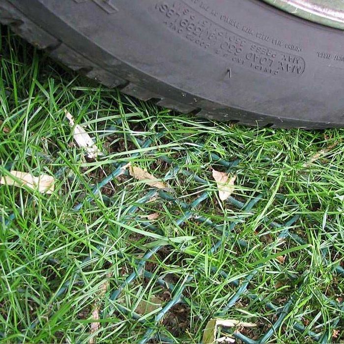 Rede para protecção relva (Evite buracos do seu cão no jardim)