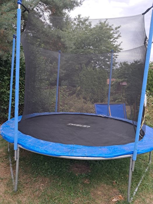Trampolina Neo Sport 3m