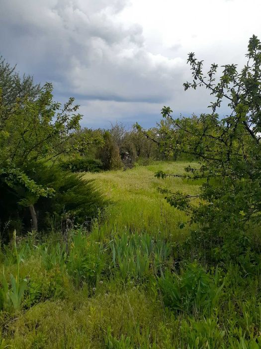 Продам участок кооператив Рассвет (СТ Чорнобилець) Od3