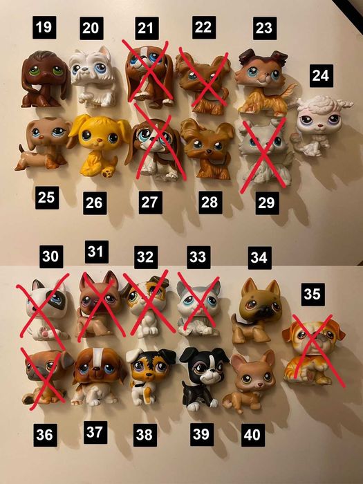 Little Pet Shop + Acessórios