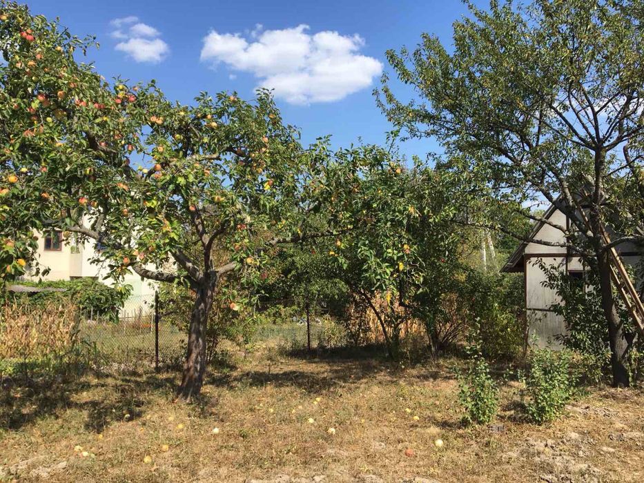 Дача біля лісу у мальовничому селі Павлівка