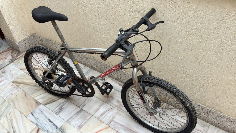 Bicicleta.