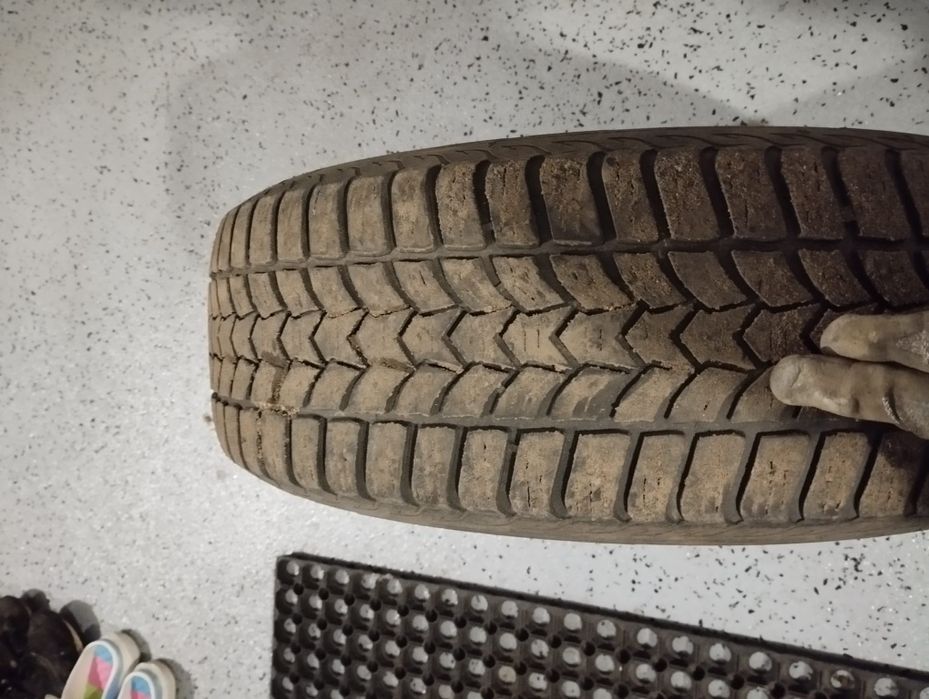 Opony zimowe 15'' Dębica Frigo