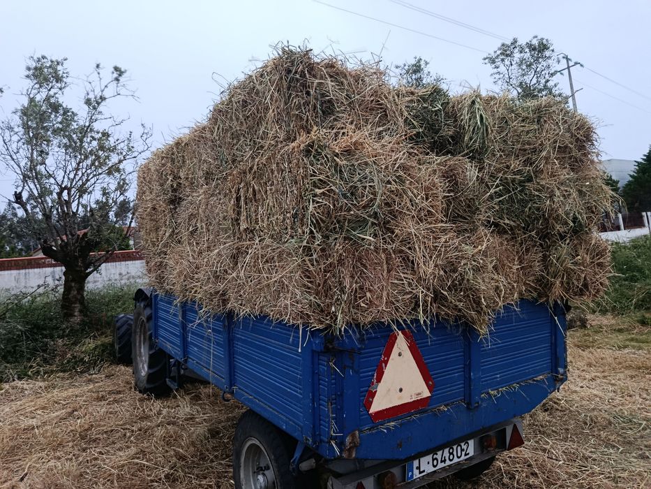 Fardos da palha de 2026