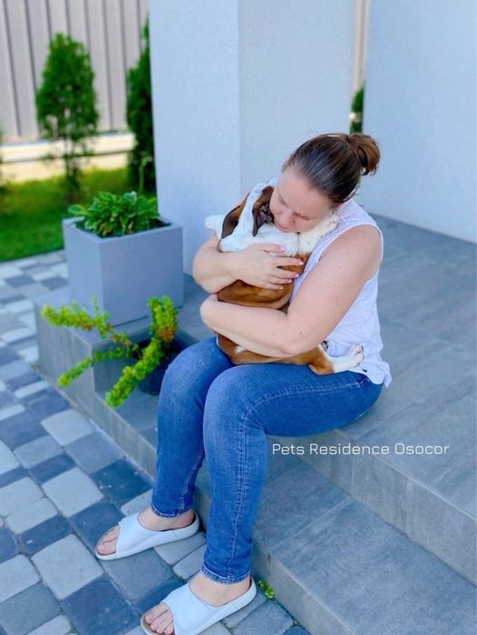 Перетримка собак в комфортних умовах. Приватна закрита територія.