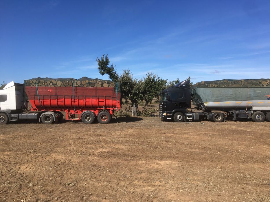Lenha de carvalho cortada em rolo